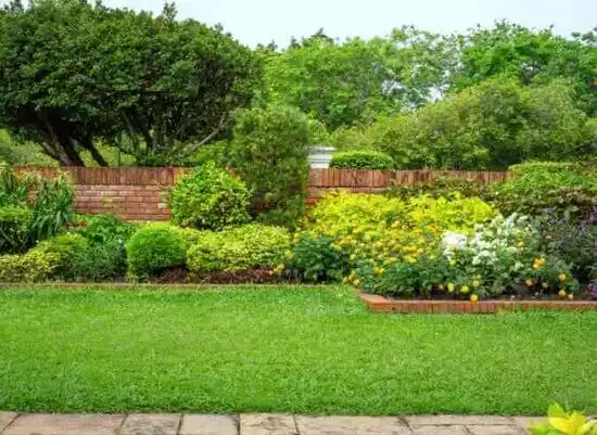 landscaping services Friars Point